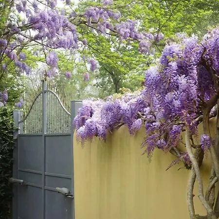 Duchess Boutique De Charme ベッド・アンド・ブレックファスト 3*